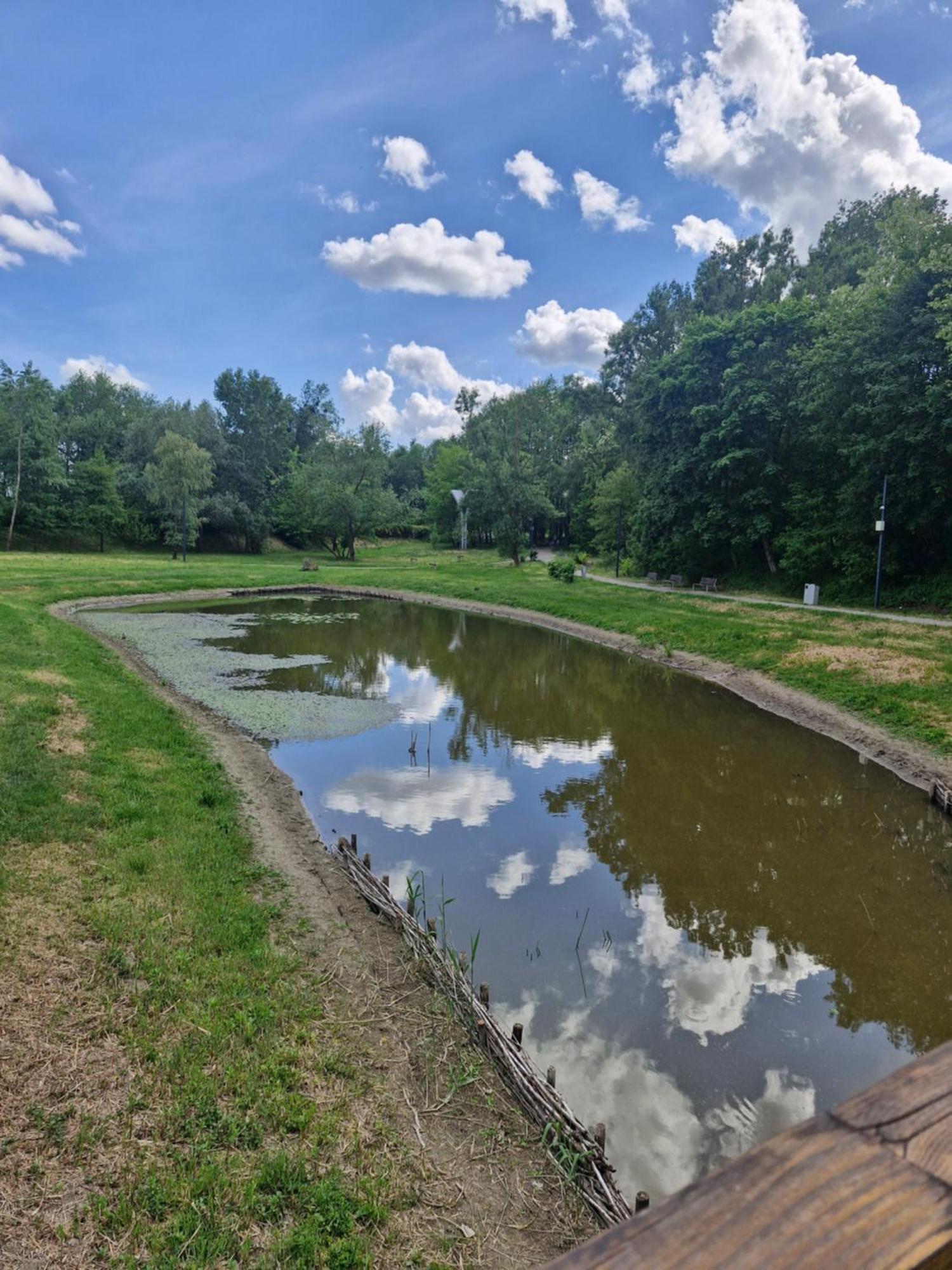 Apartament Cichy I Wygodny Stalowa Wola Eksteriør billede